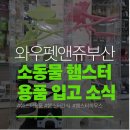 와우펫앤쥬 김해점 | 와우펫앤쥬 부산점 소동물 햄스터 크레스티드게코 다양한 용품 입고