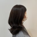(주)에스제이파마 | 보정동카페거리미용실 :: &lt; 체리쉬헤어 &gt;에서 받은 하오니코 클리닉으로 손상모 탈출 🥳