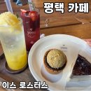 포승프라자 | 평택역 근처 신상카페 [이스 로스터스] 내돈내산 후기(+주차,두바이타르트)