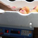 최고농장 이미지