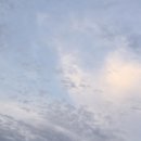 굽네치킨정자 - 성남시 분당구 내정로 54 | 굽네치킨정자