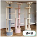 더조은 펫스토리 이미지