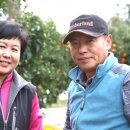 전진농장4 이미지