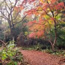 서광동리 이미지