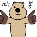 마른인간연구소 이미지
