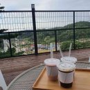 숲속애견샵 이미지