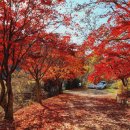 수성대 화장실 이미지