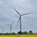 노을 게스트하우스 이미지