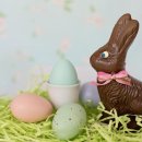 글로벌꿀벌동물병원 이미지