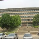 서울대학교(관악캠퍼스) Daum카페