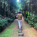 세정농원 이미지