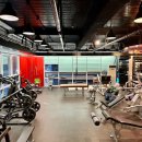 DH웰리스 이미지