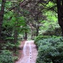 천년 역사 속 옛길 이미지