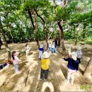 자연유치원 이미지