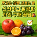 과일달고