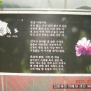 콩미당 이미지