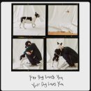 Your Dog Loves You 이미지