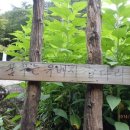 꿈꾸는유배지늡다리 이미지