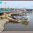 허브내음 이미지