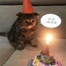 홈 프로텍터 1년 35주 일기