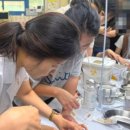 대성 간호 학원 이미지