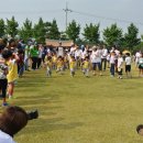 안중파랑새유치원 이미지