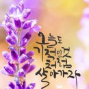 오늘도건강