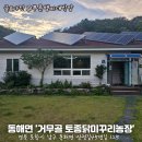[포항/동해면] 정이 넘치는 시골 밥상, 이런 추어탕은 처음! 포항 거무골 토종닭미꾸리농장 후기