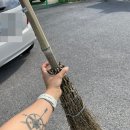 콩자반 애견유치원 이미지