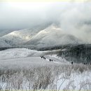 ♣2/6(토)노인봉과 오대산 비로봉 2산과 또는 오대산 종주 눈꽃산행 이미지