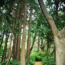 부민산 체육공원 이미지