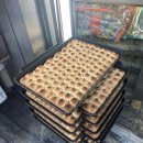 유정여인숙 이미지