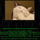 중앙일보(주) 이미지