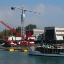 원양참치 이미지