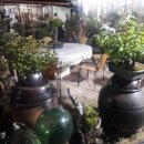 선유산방 이미지