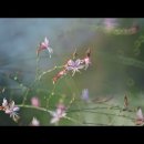 로마서 3:21~31 이미지