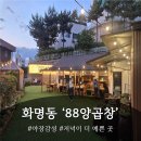 봉순이 봉평막국수 양곱창 | 화명동 야장 감성 즐기기 좋은 88양곱창 화명본점