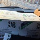 페트코코 | 코스트코 가성비 쇼핑🛒처음처럼 가성비 소주 추천!