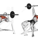 월드컵헬스 이미지