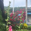 운남2리 경로당 이미지