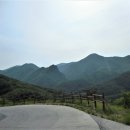 팔등 Daum카페