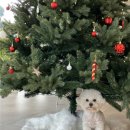 곡성-206 이미지