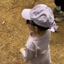 비조카 이미지