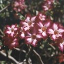 그래미의원 이미지