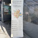 동화 | 강릉 여행 맛집 짬뽕순두부, 초두부 내돈내산 후기 동화가든 웨이팅 꿀팁