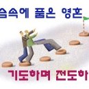 각종 시계 모음 이미지