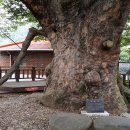 의평마을 이미지