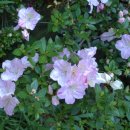 승준농장 이미지