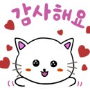 스테이제부 26-1 이미지