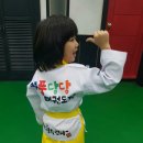 위풍당당 태권도장 이미지